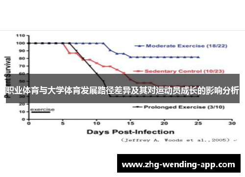 职业体育与大学体育发展路径差异及其对运动员成长的影响分析 职业体育与大学体育发展路径差异及其对运动员成长的影响分析