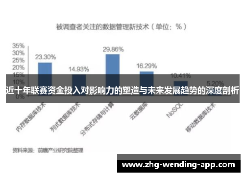 近十年联赛资金投入对影响力的塑造与未来发展趋势的深度剖析